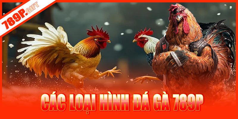 Các loại hình đá gà 789P phổ biến