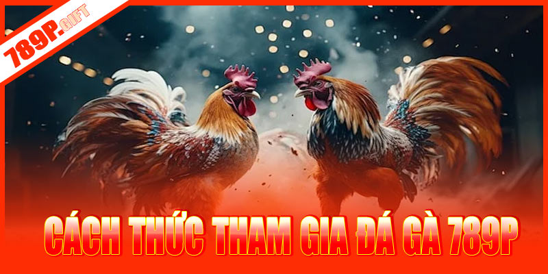 Cách thức tham gia đá gà 789P