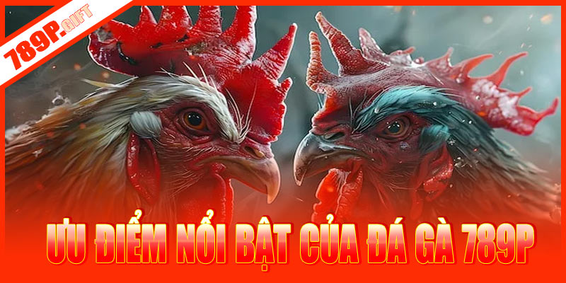 Ưu điểm nổi bật của đá gà 789P
